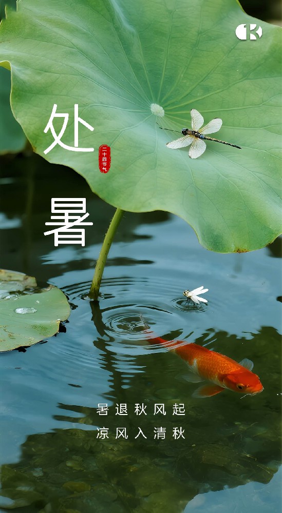 处暑至，习俗趣：暑去凉来话传统